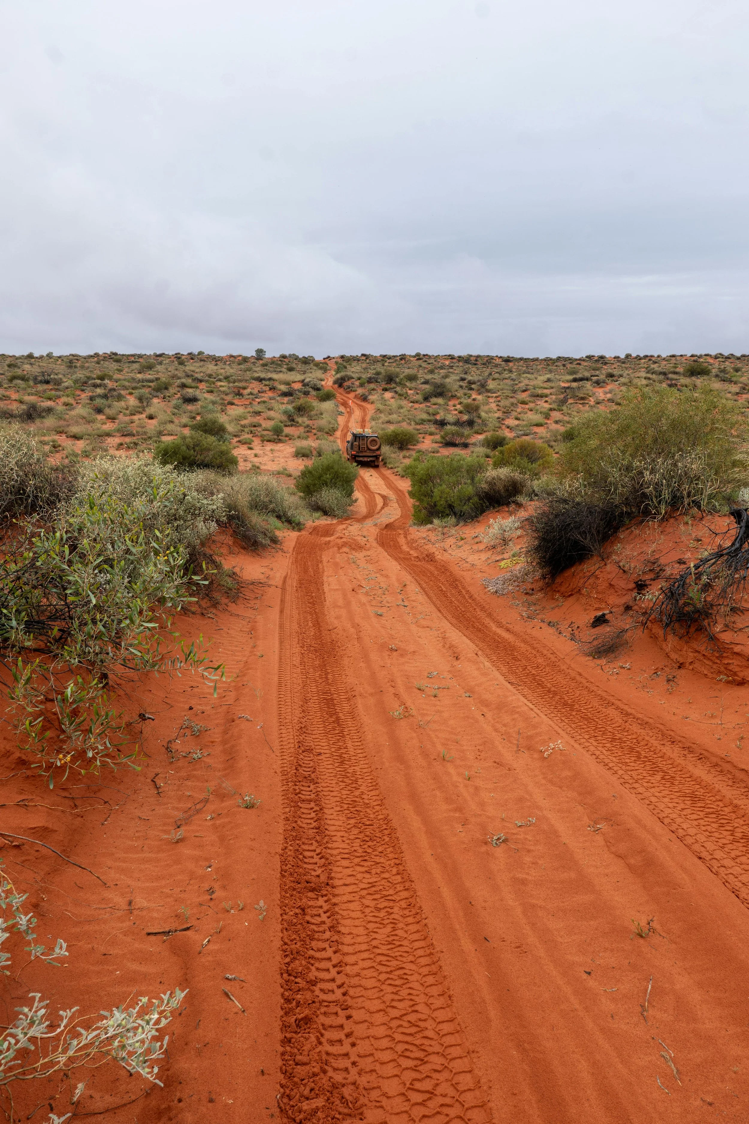 Red dirt road with tire tracks in desert landscape, sparse bushes and cloudy sky, Jeep in the distance.