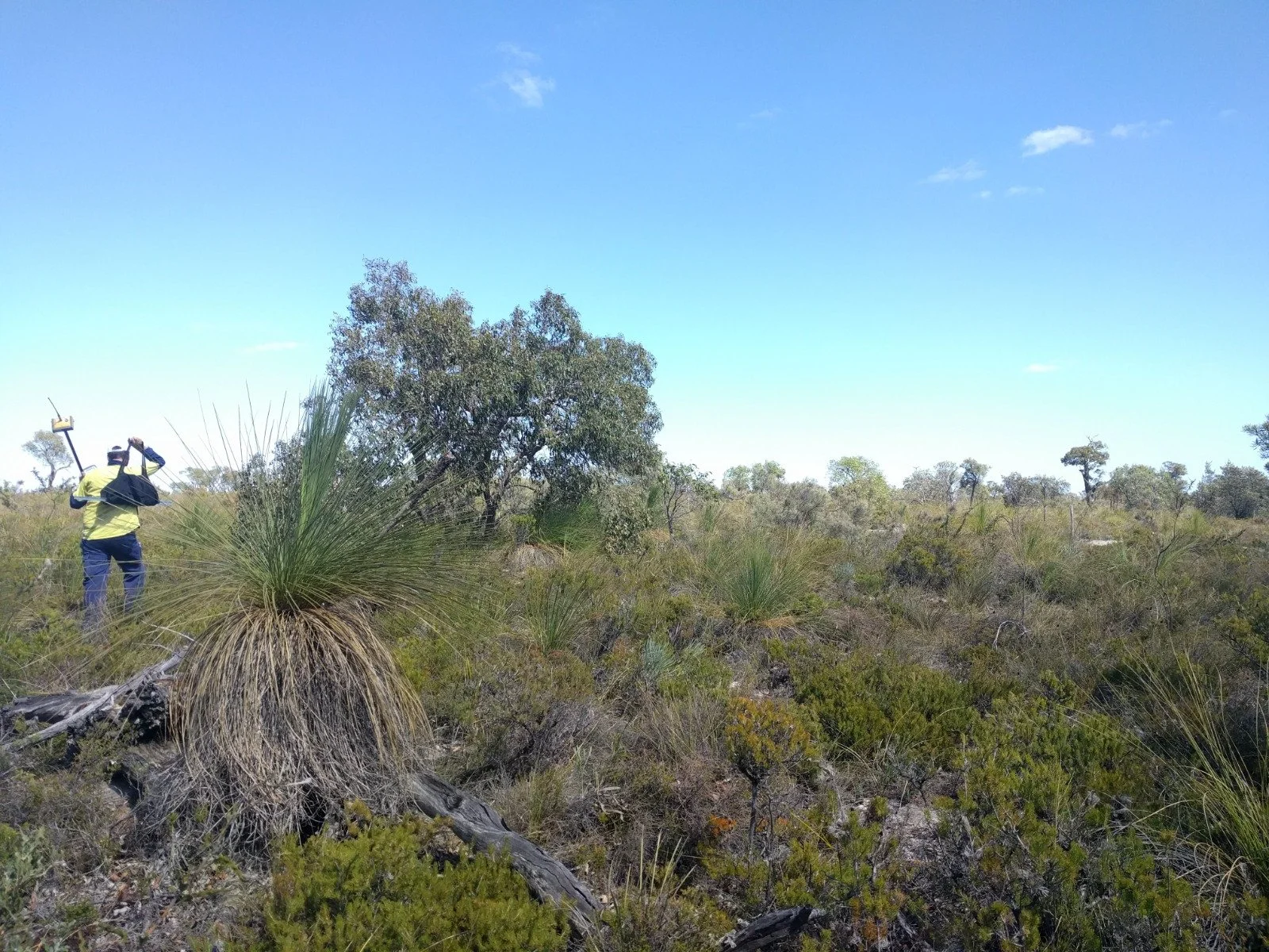 A person wearing a yellow jacket and a cap is standing in a dry, grassy landscape, looking through a telescope at the sky on a bright, clear day.
