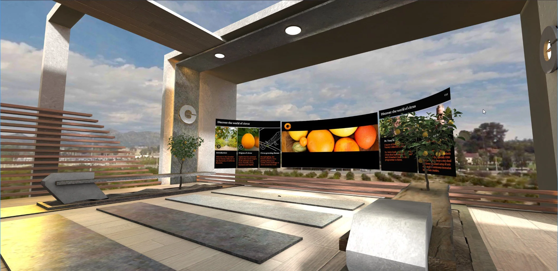 Groove Jones - 2019 - 2020