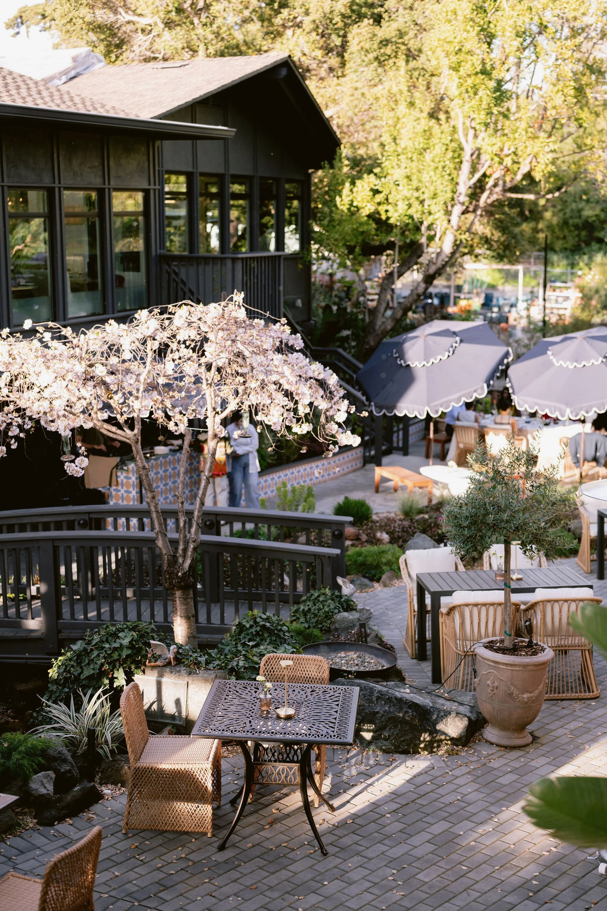 Breathwork and Brunch