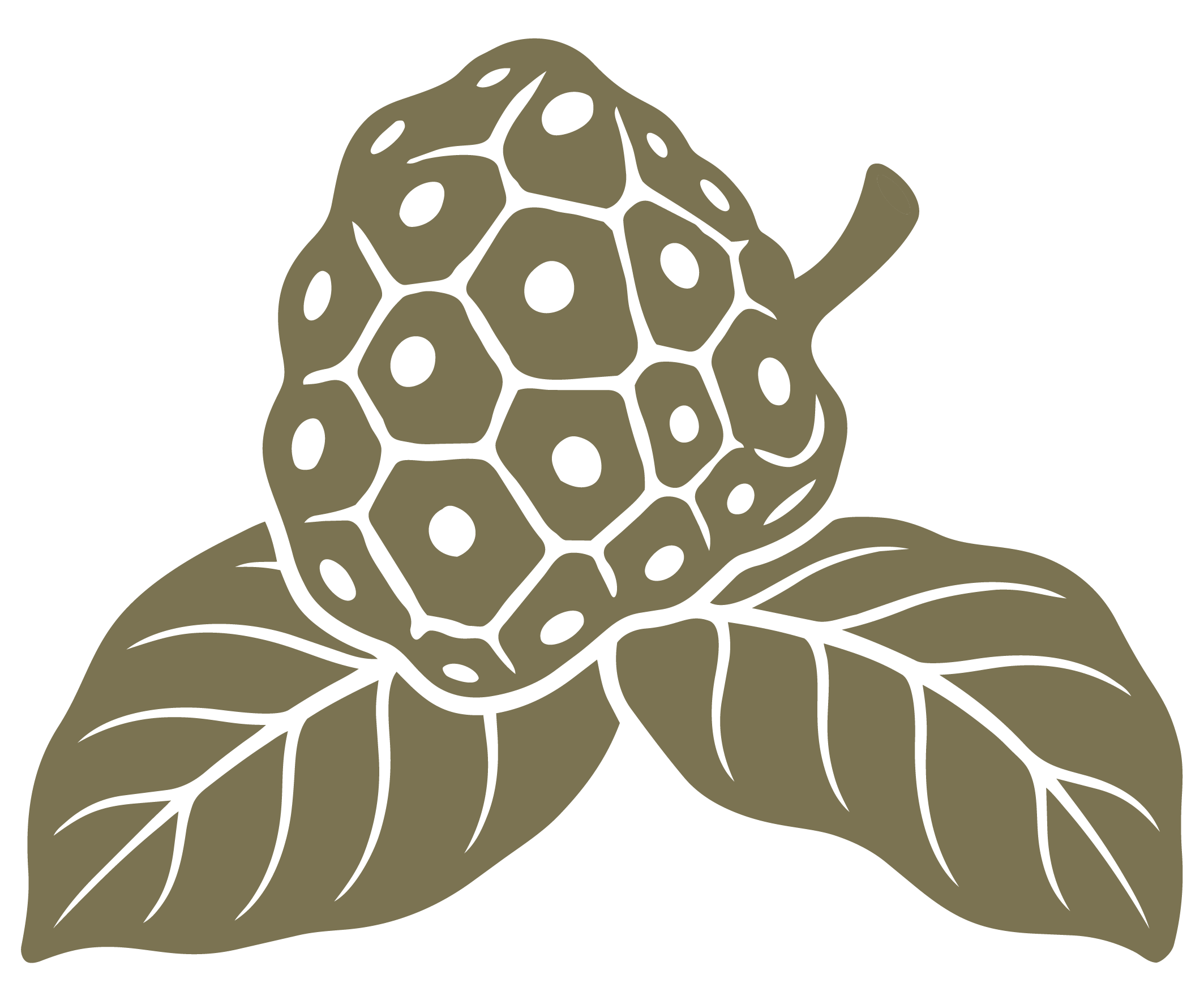 Illustration of a Noni Fruit