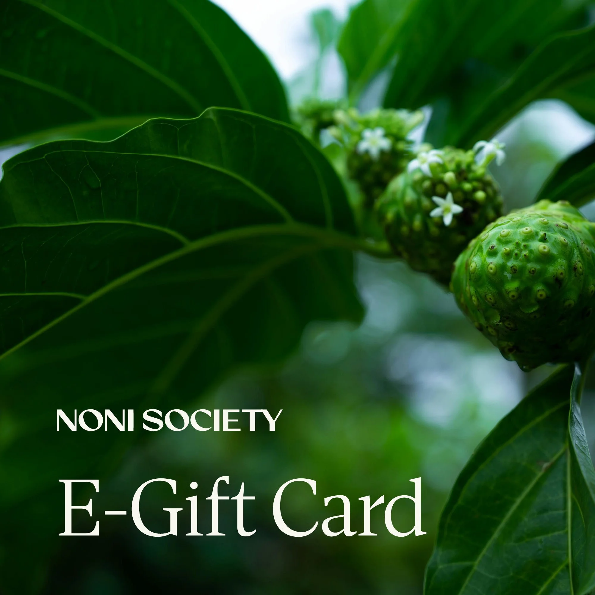 E-Gift Card