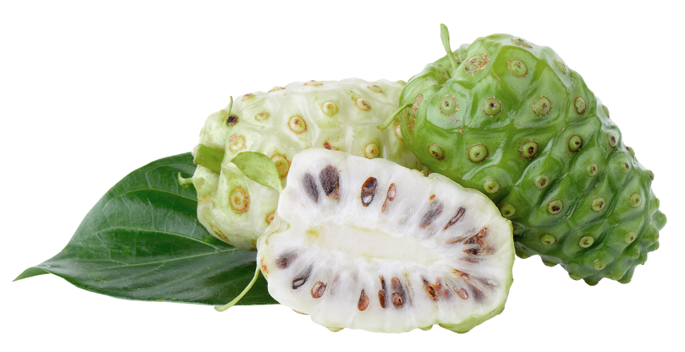 Fresh noni fruit, including whole and sliced pieces, with a green leaf on a white background.