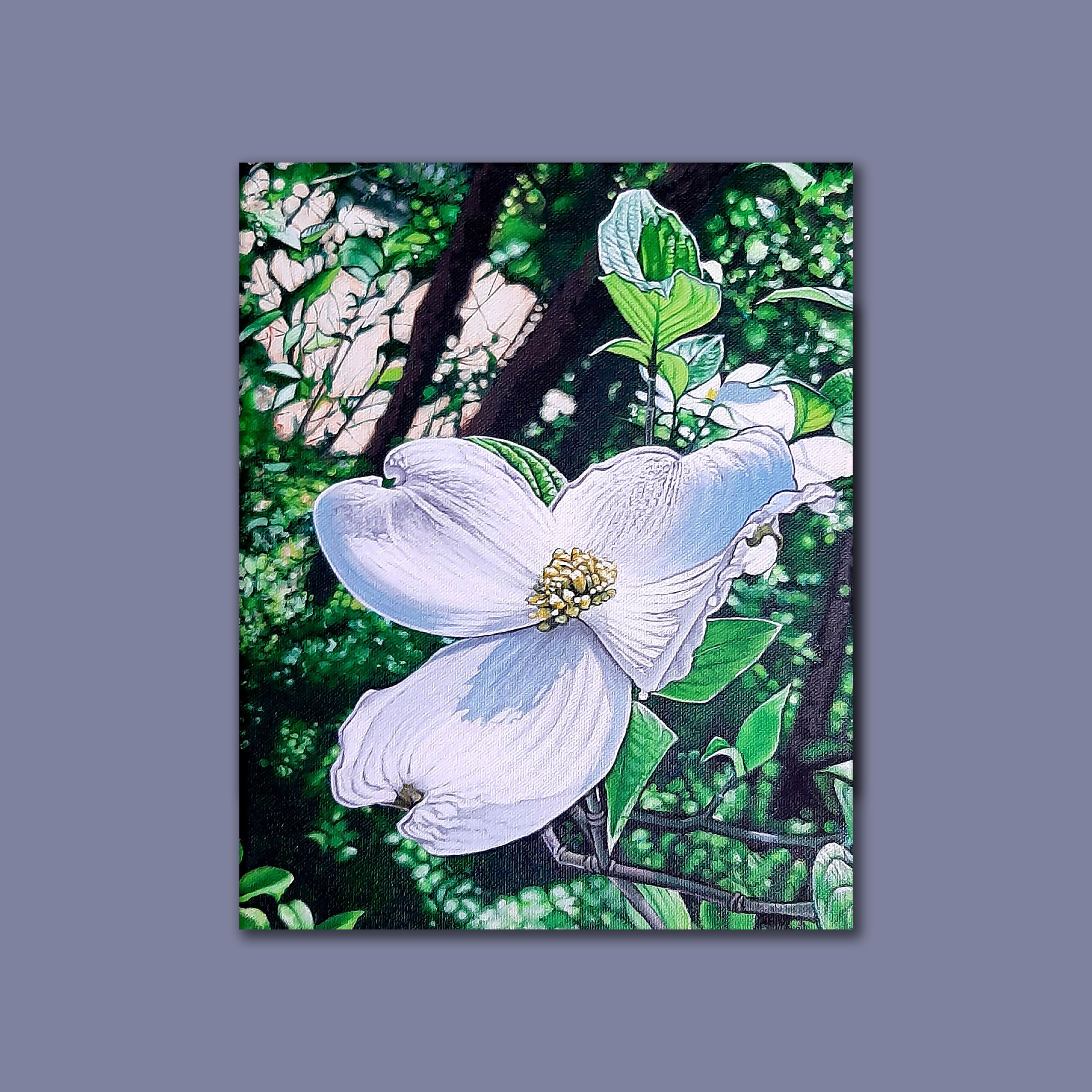 Dogwood Canvas Prints