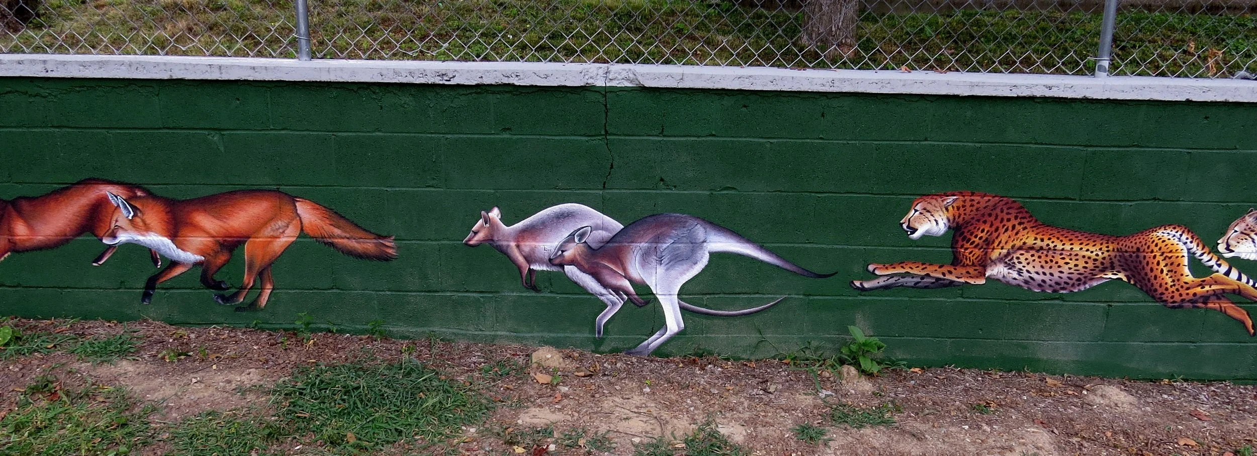 Ark d.jpg