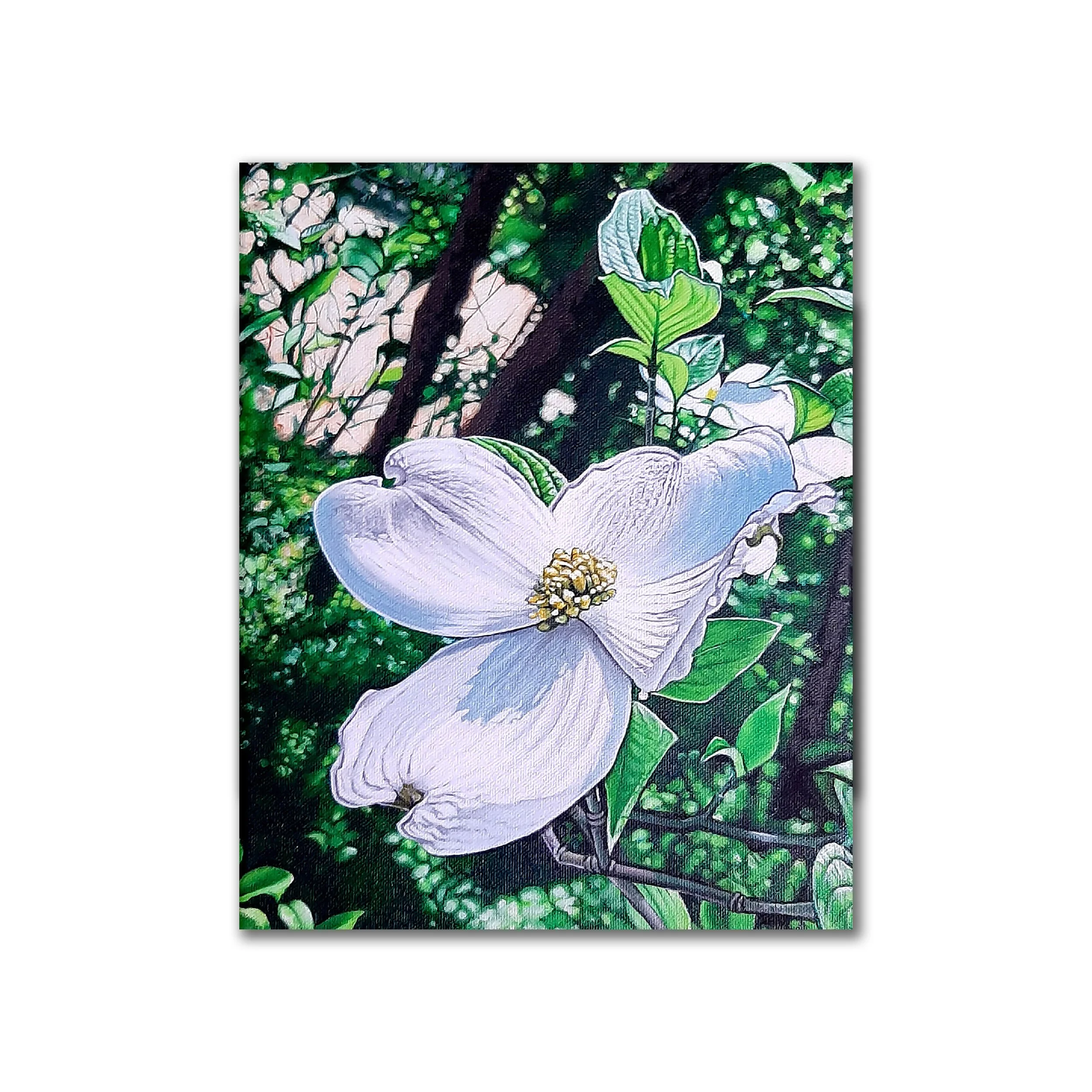 Dogwood thumbnail.jpg