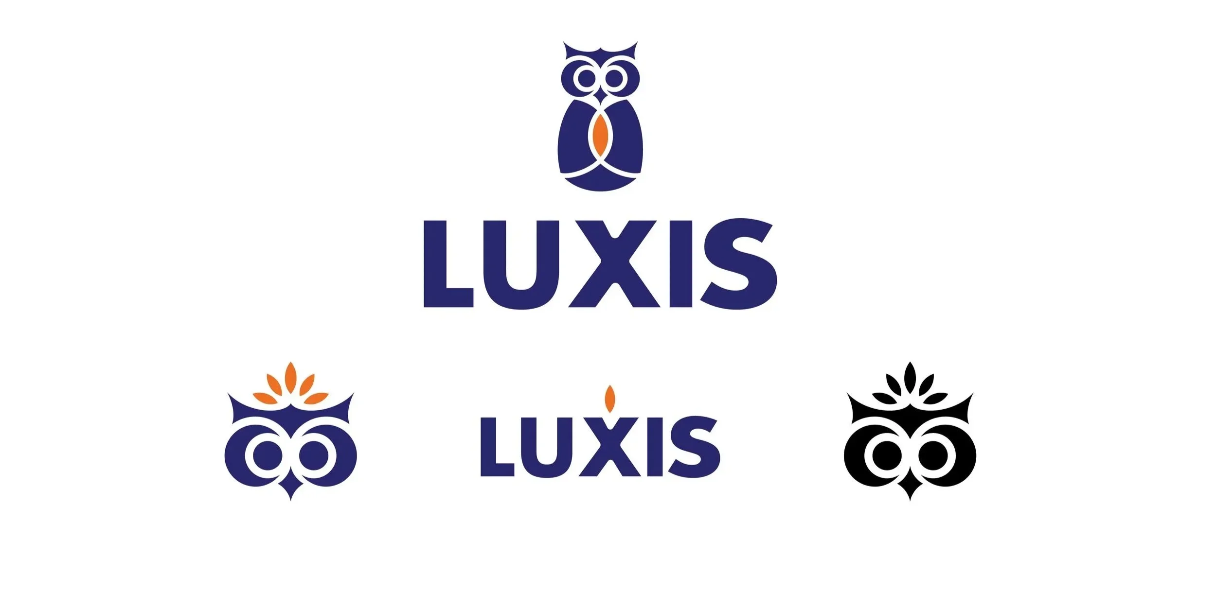 logolooks.webp