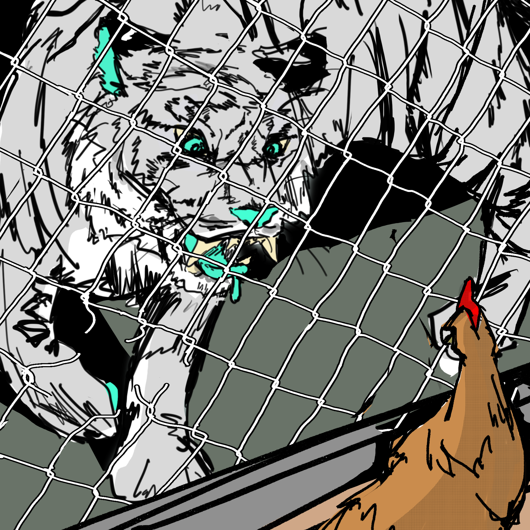 IMG_6252.PNG