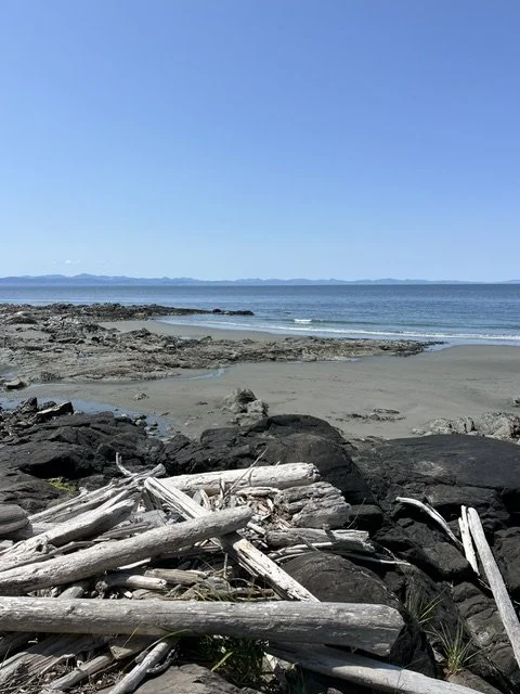 A rocky beach with driftwood in the foreground, calm ocean waves in the middle, and a clear blue sky above with distant land across the water.