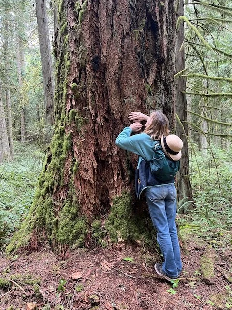Child with a backpack and hat hugging a large tree in a forest.