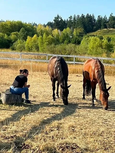 A woman sitting on a tree stump in a field with two horses grazing nearby, with a backdrop of green trees and a clear blue sky.