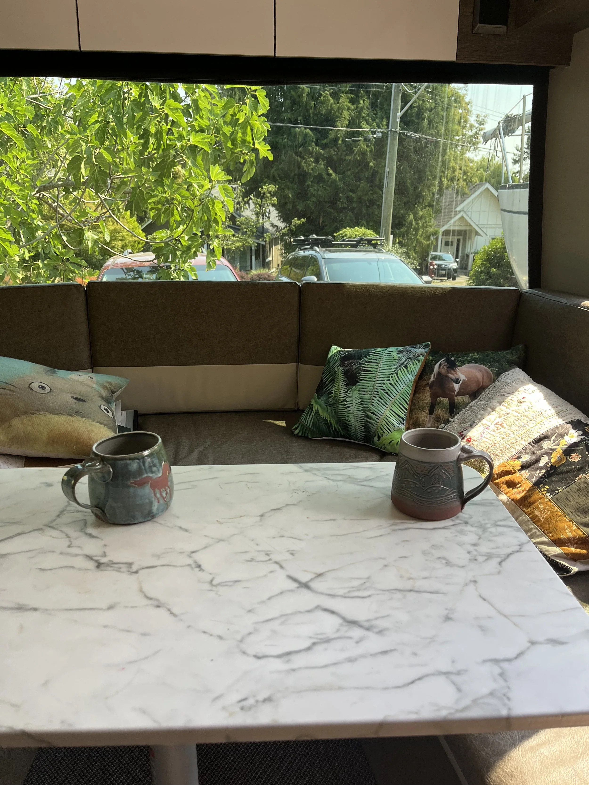 Inside an office, a large window with view of parked cars and trees. On a marble table, two mugs and decorative cushions with nature and animal images are visible.