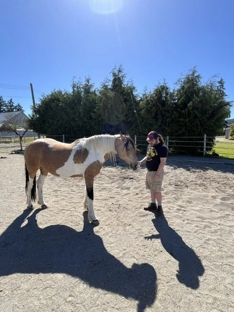 Person and horse standing on sandy ground in an outdoor paddock with greenery and trees in the background under a clear blue sky.