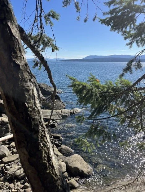 A lakeside view with large rocks at the shoreline, surrounded by trees and clear blue skies, with distant mountains visible across the water.