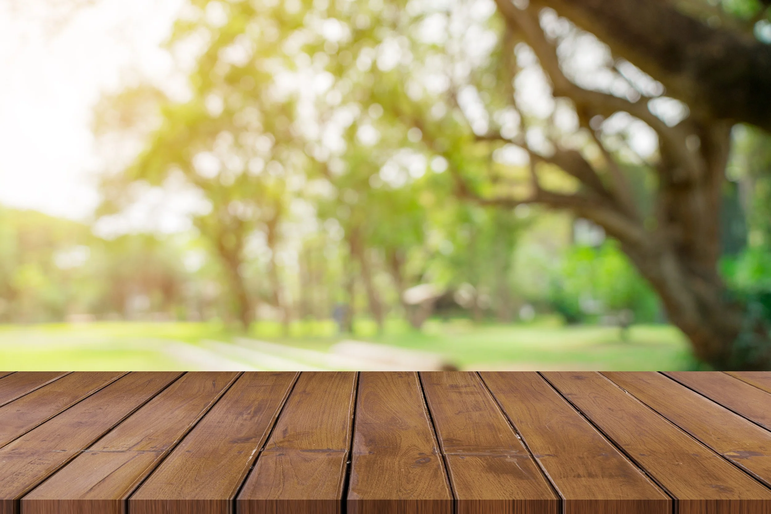 Bright outdoor scene with a wooden deck in the foreground and a blurred green park with trees in the background.