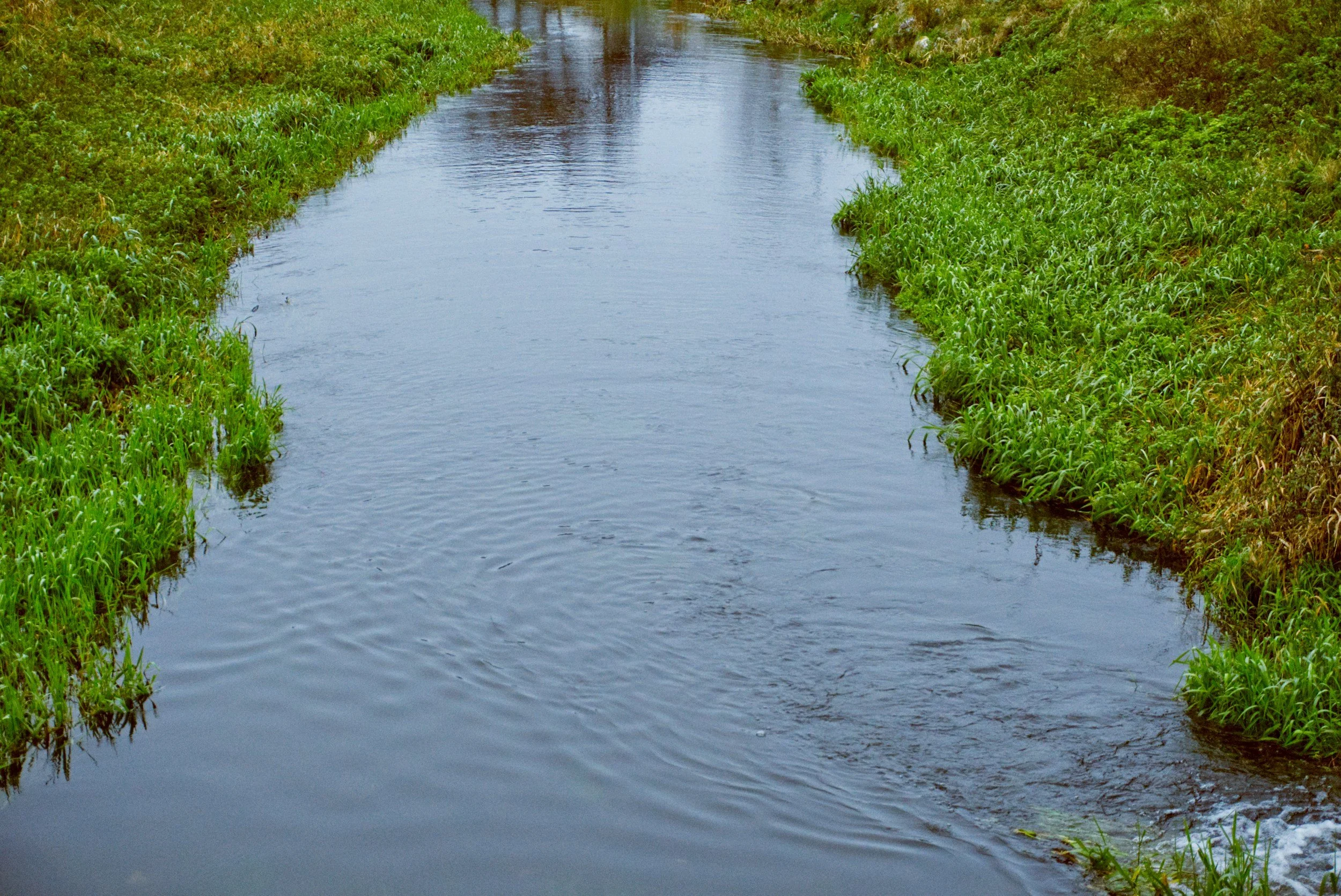 Stream water flow near agricultural field showing water source and quality conditions