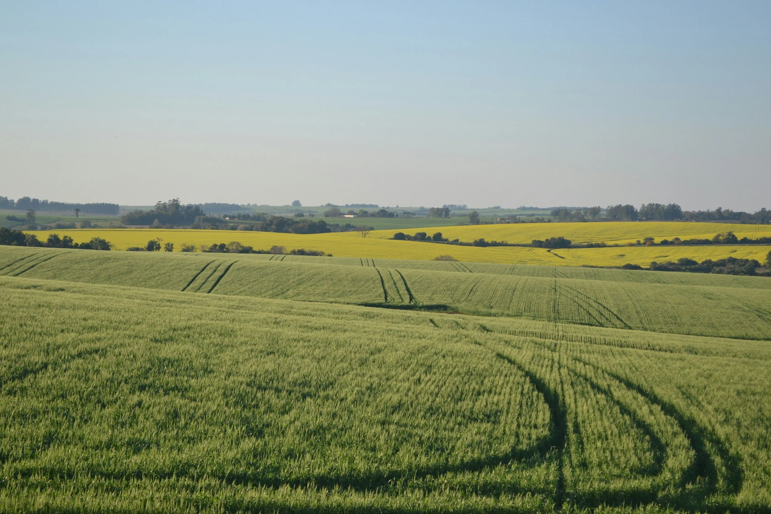 Farmland in the Pacific Northwest region