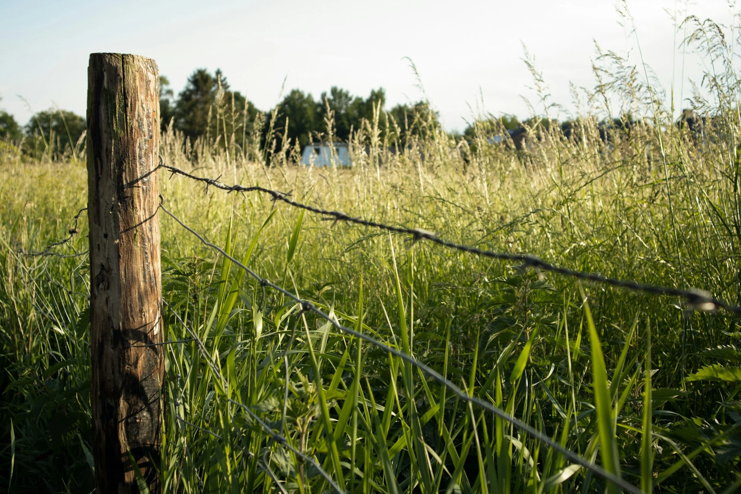 Fence line along agricultural field representing land management support