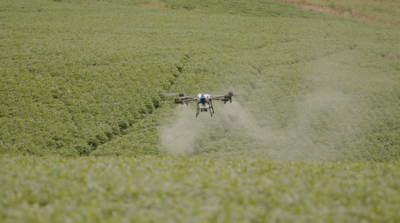 Agricultural drone spraying crops