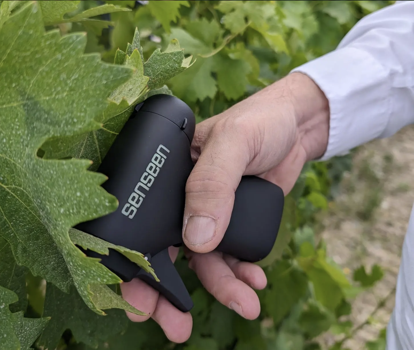 Analyzing crop leaves for nutrient deficiencies using real-time field technology