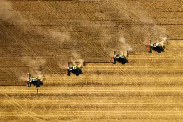 Aerial photo of combines harvesting wheat