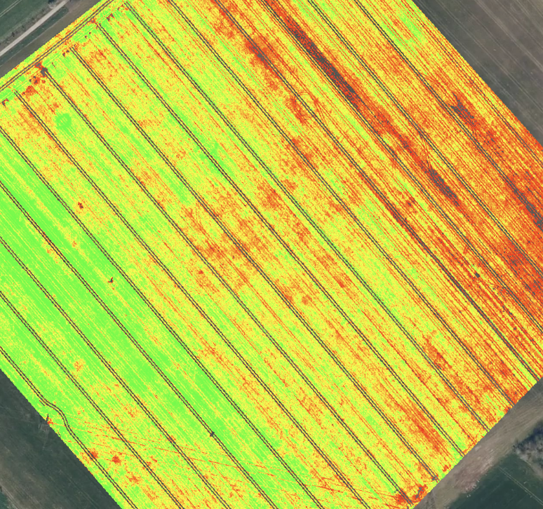 NDVI map showing crop variability