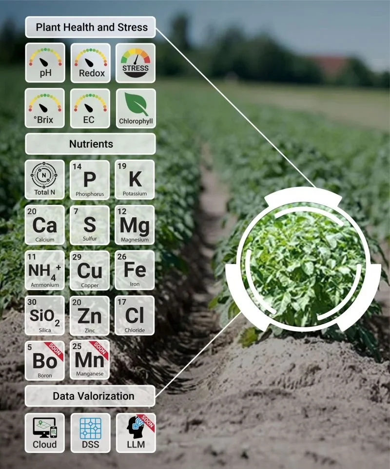 Plant health diagram showing nutrient levels