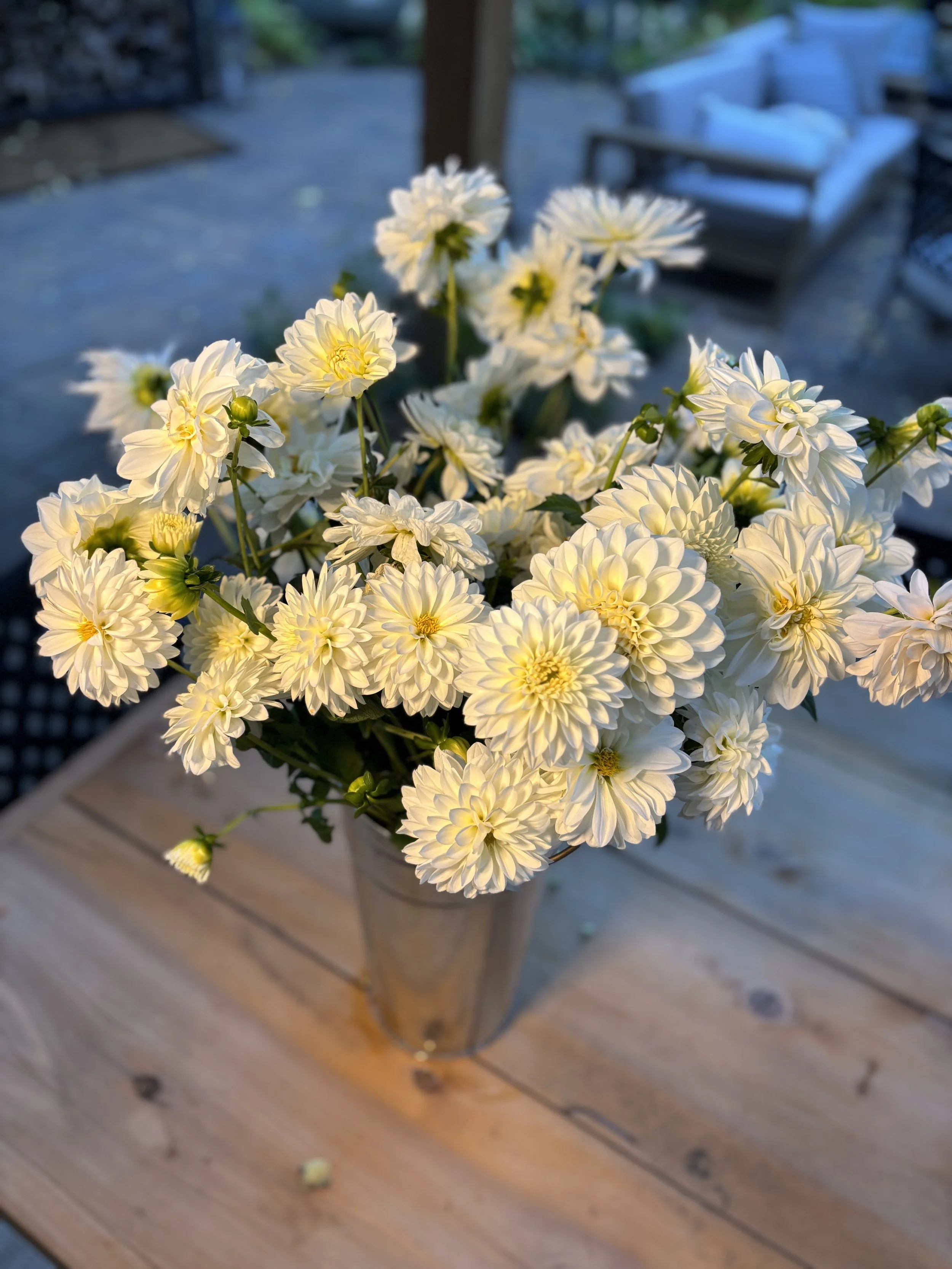 A bouquet of white flowers in a glass vase on a wooden table, with outdoor furniture in the background.