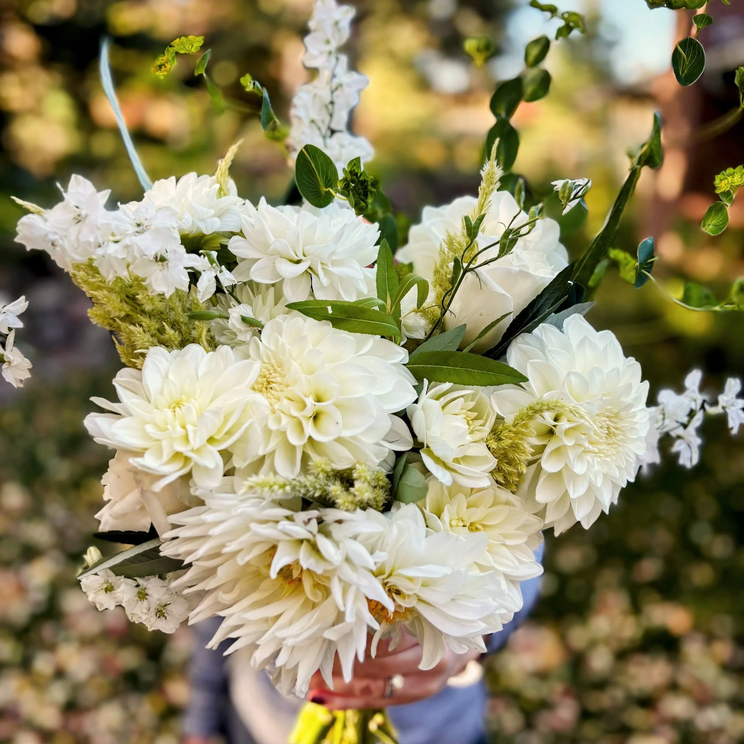 A person holding a large bouquet of white flowers with green leaves, set against a blurred garden background.