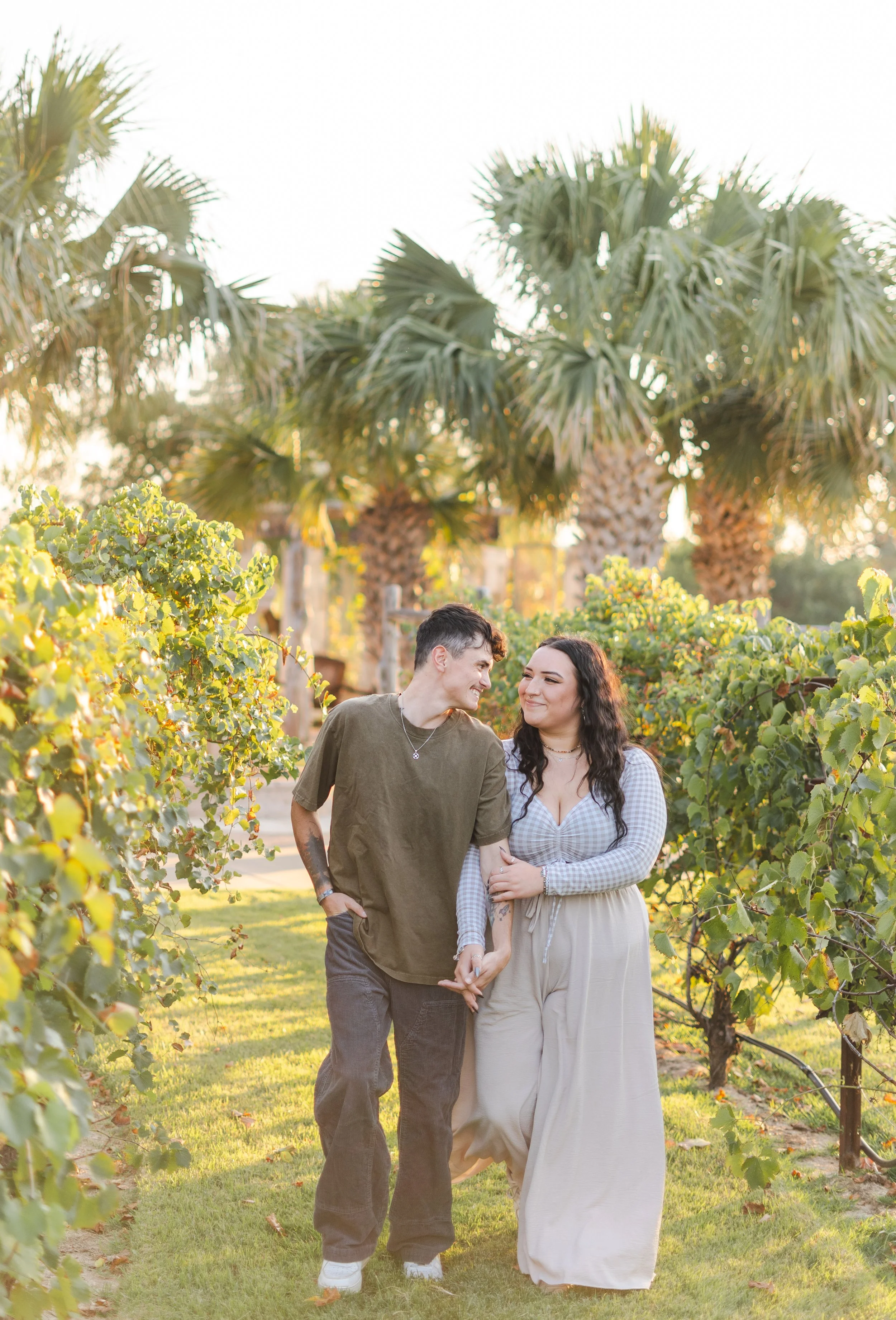 A couple walking down a vineyard aisle, holding hands, surrounded by grapevines, with palm trees in the background, during sunset.