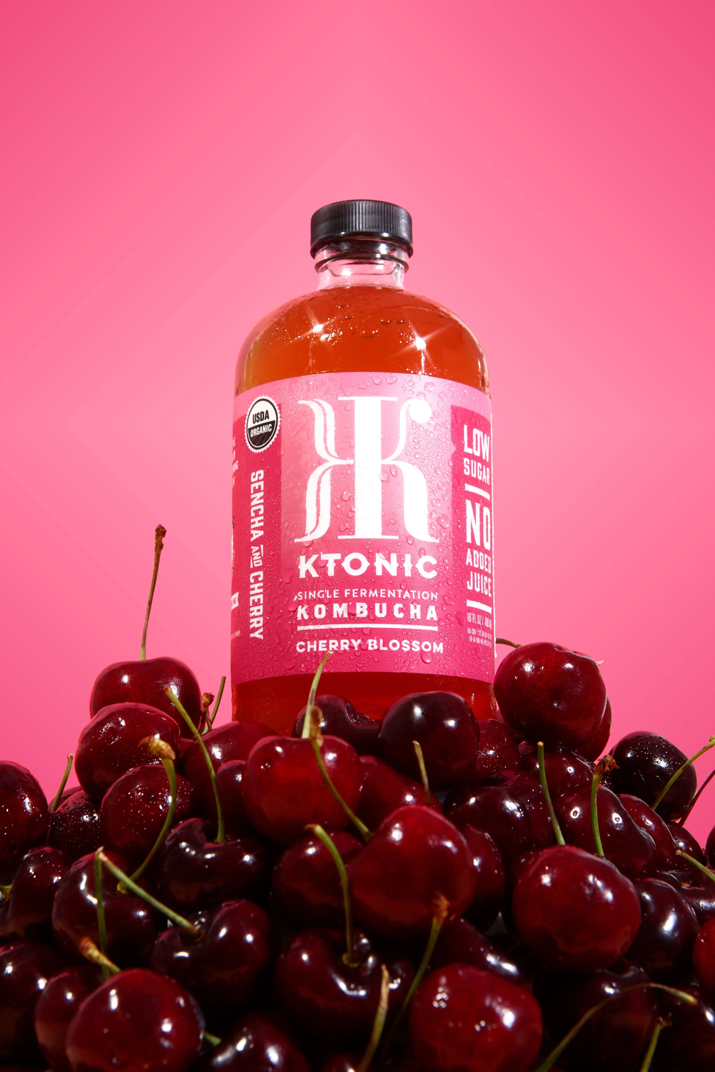 KTonicHeroShots5071.jpg