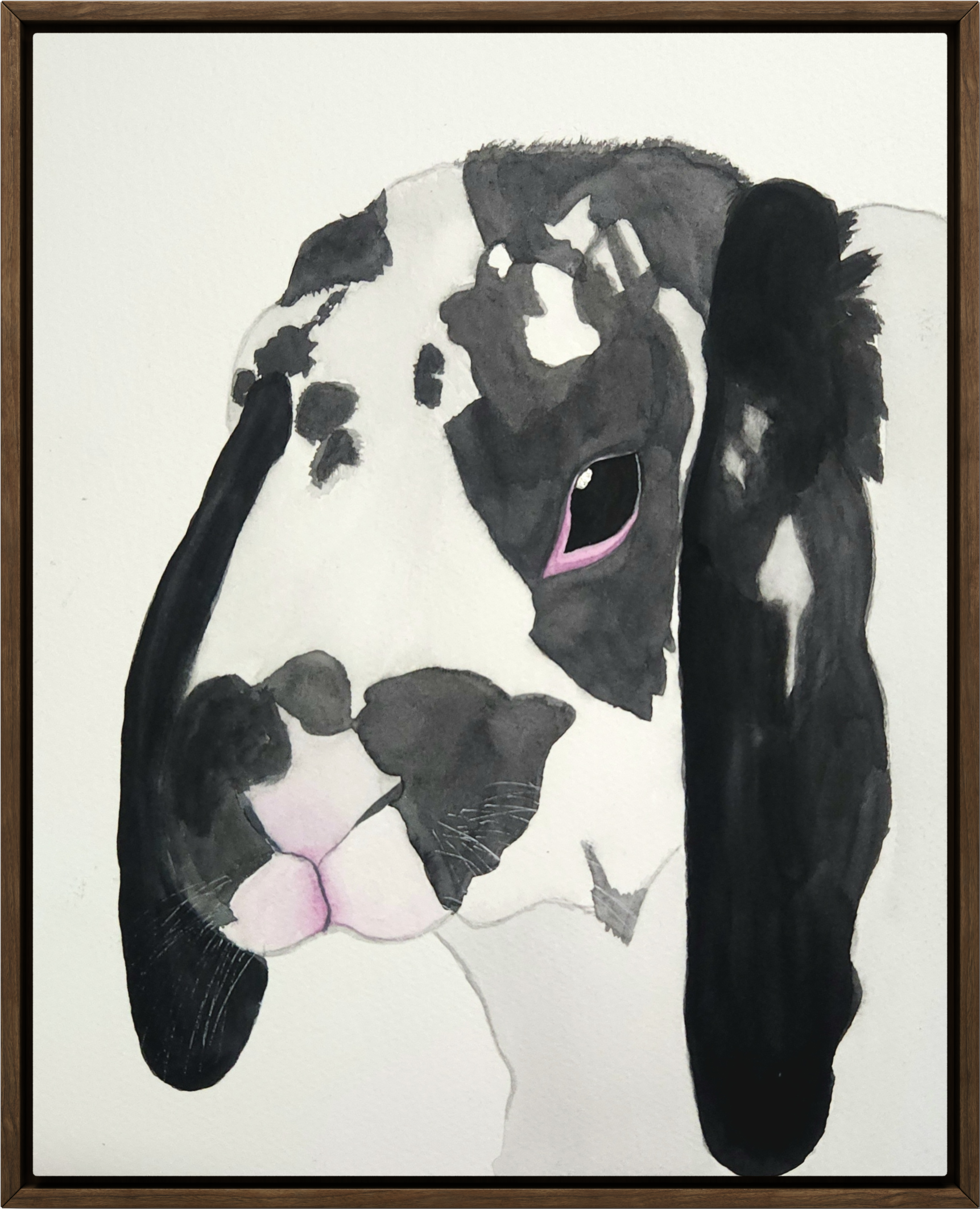 A watercolor painting of a black and white rabbit with lop ears and a pink mouth, framed in a wooden border.