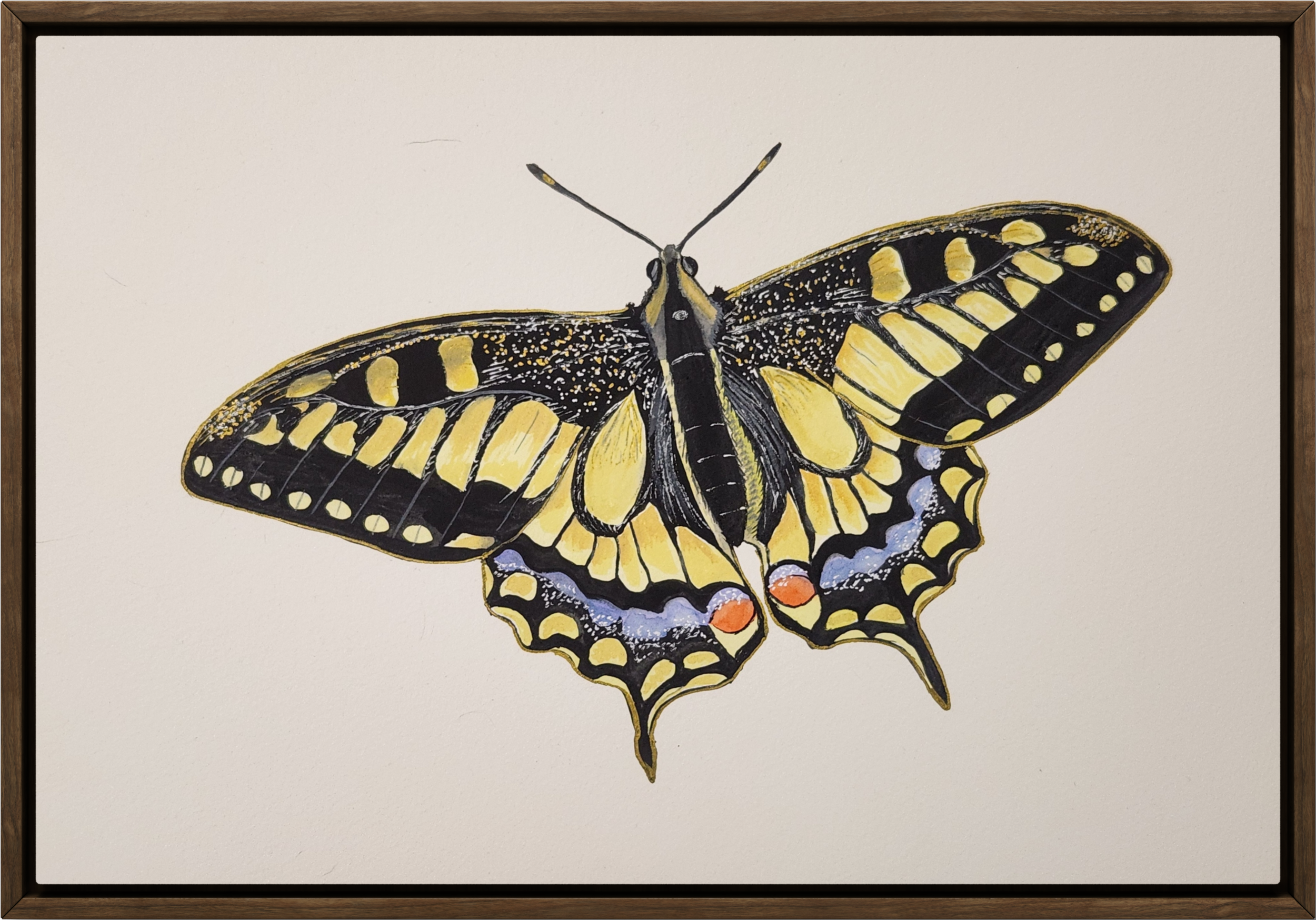 Watercolor and gouache painting of an Eastern Tiger Swallowtail butterfly with spread wings displaying yellow and black striped pattern. Blue and orange eyespots accent the hindwings. Gold and white ink highlights detail the wing scales and body agai