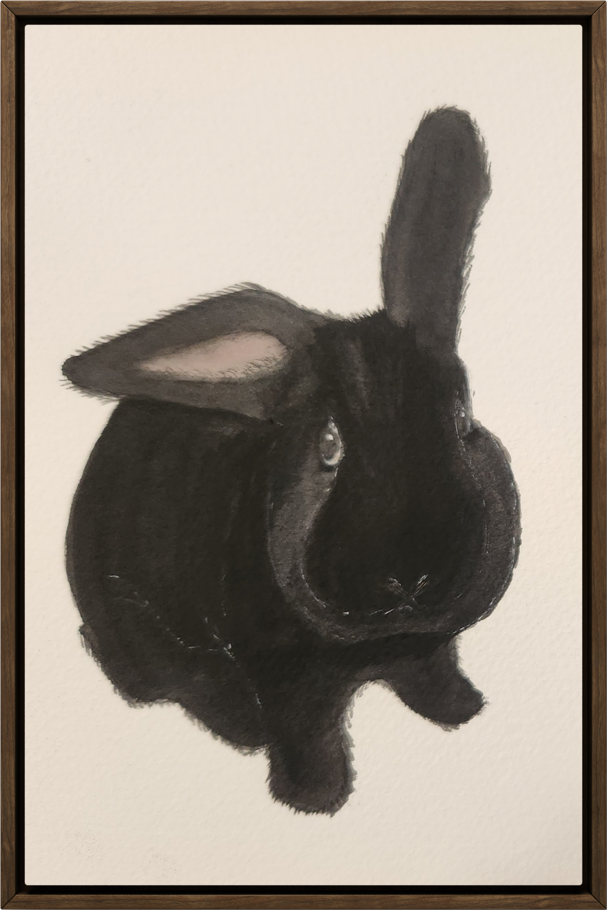 A detailed black and white drawing of a rabbit facing forward, with large ears, expressive eyes, and soft fur.