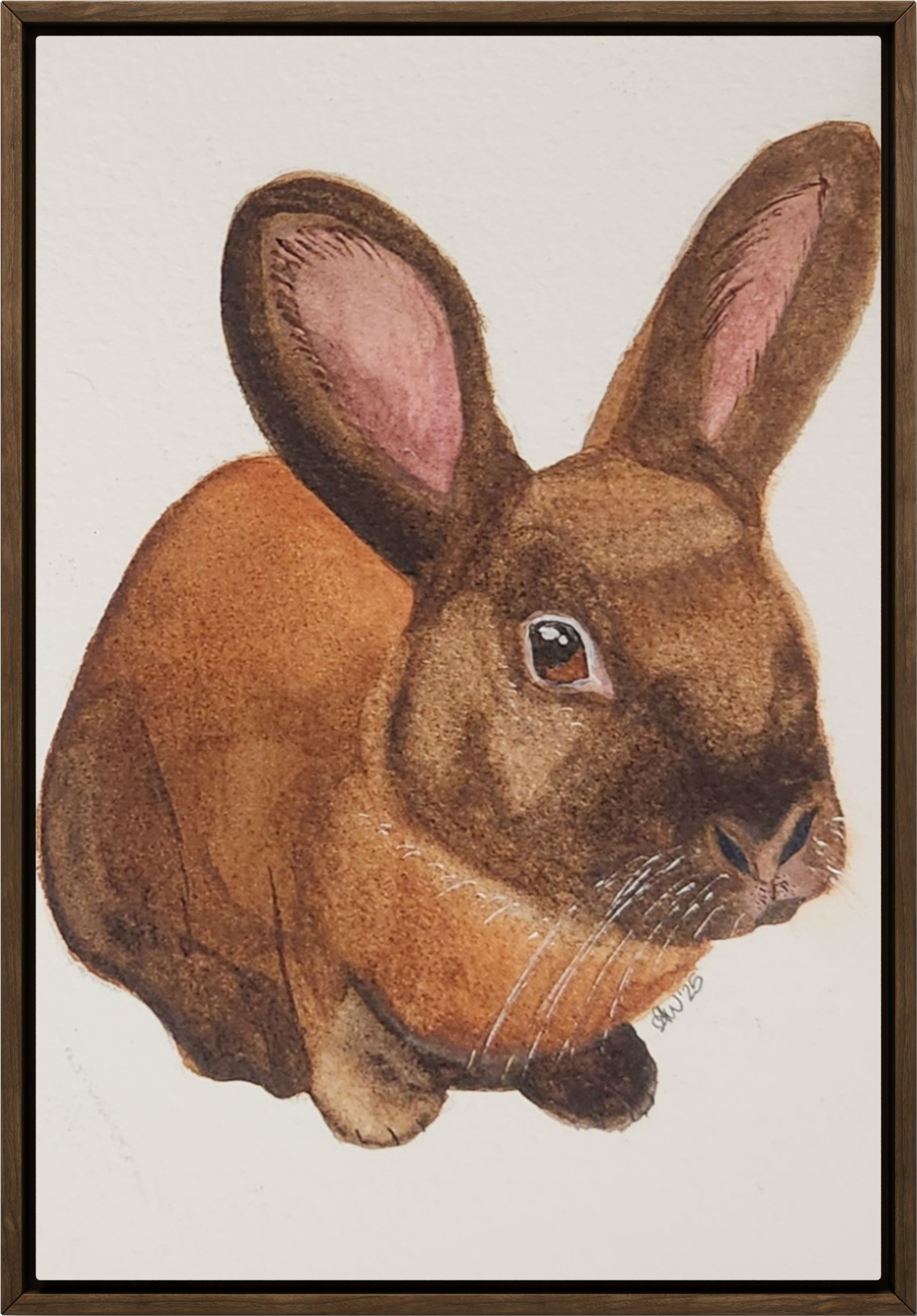 Watercolor painting of a brown rabbit with pink inner ears, sitting on a white background.