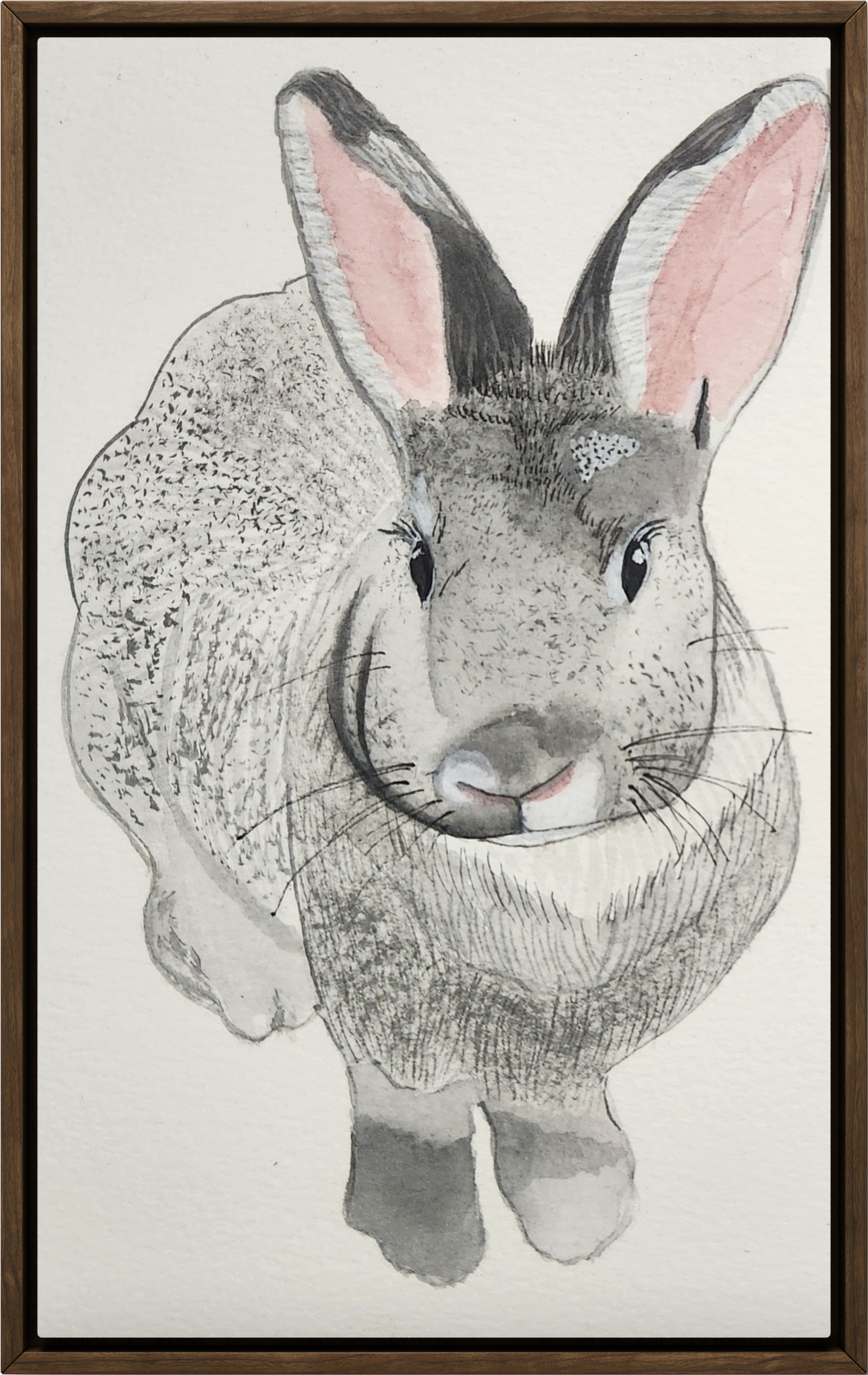 Hand-drawn illustration of a rabbit with large ears, detailed fur, and a friendly expression, framed in wood.