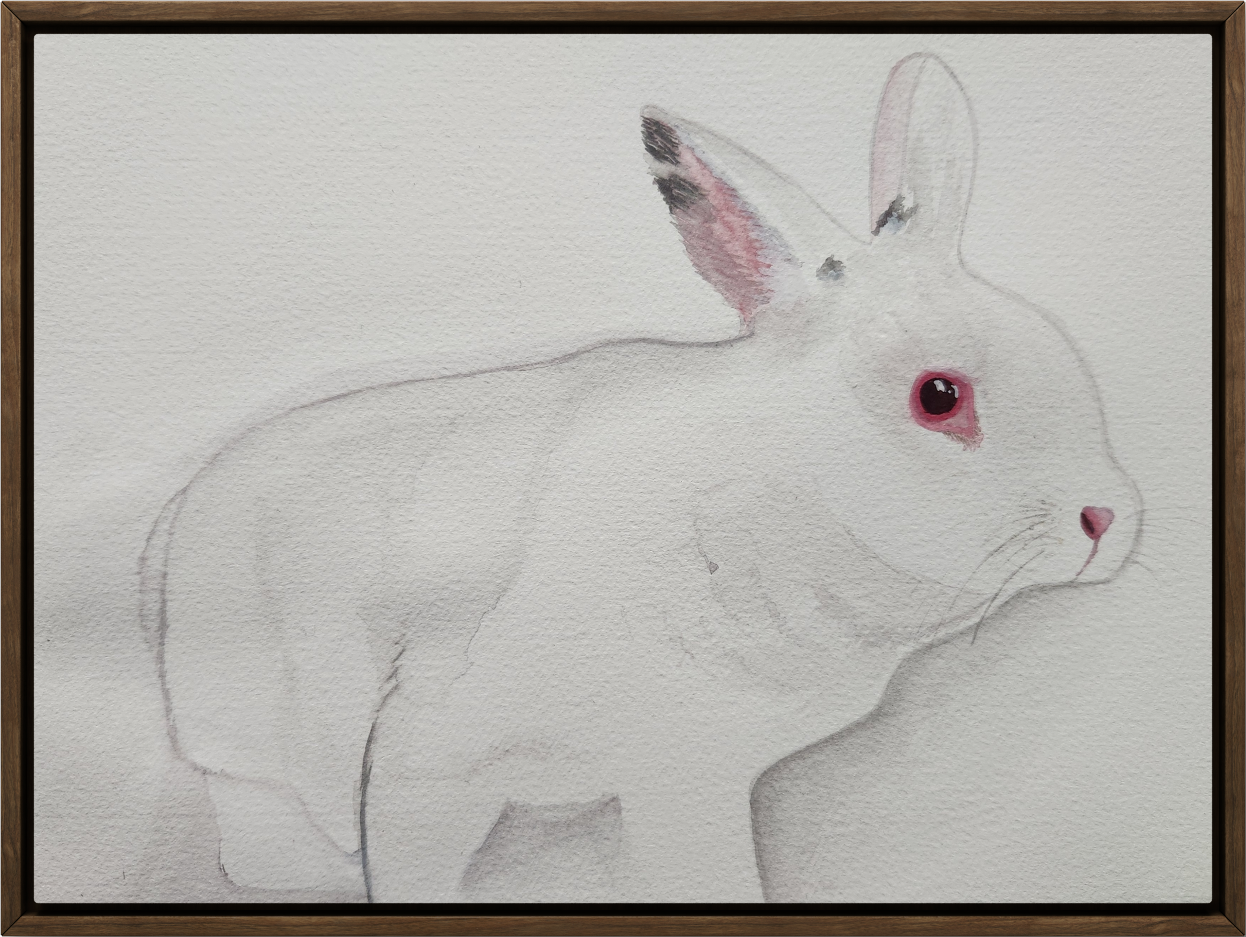 Watercolor painting of a white rabbit with pink eyes and pink-tinted ears, framed in a wooden border.