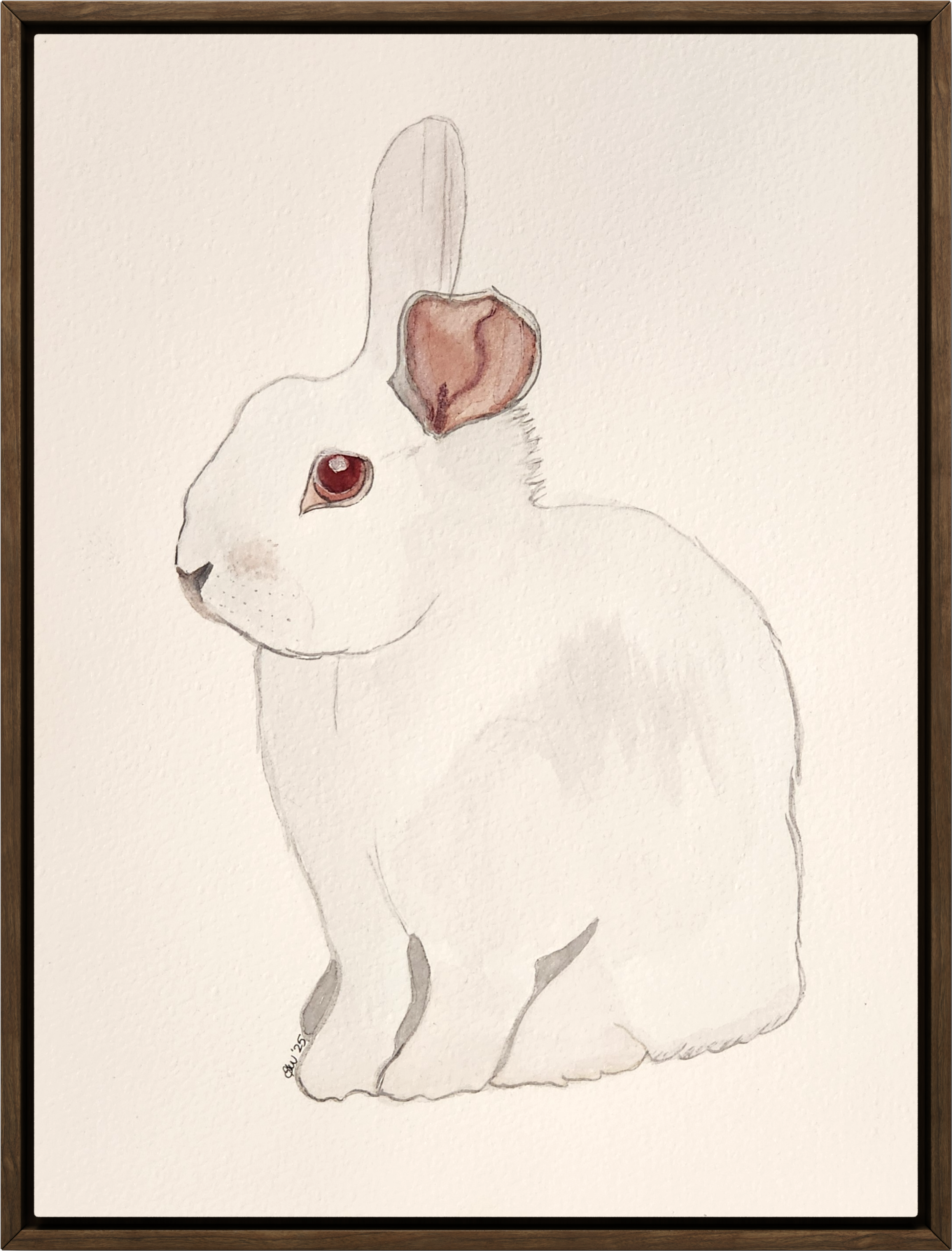 A delicate watercolor painting of a white rabbit with red eyes, detailed ears, and subtle shading on a light textured background.
