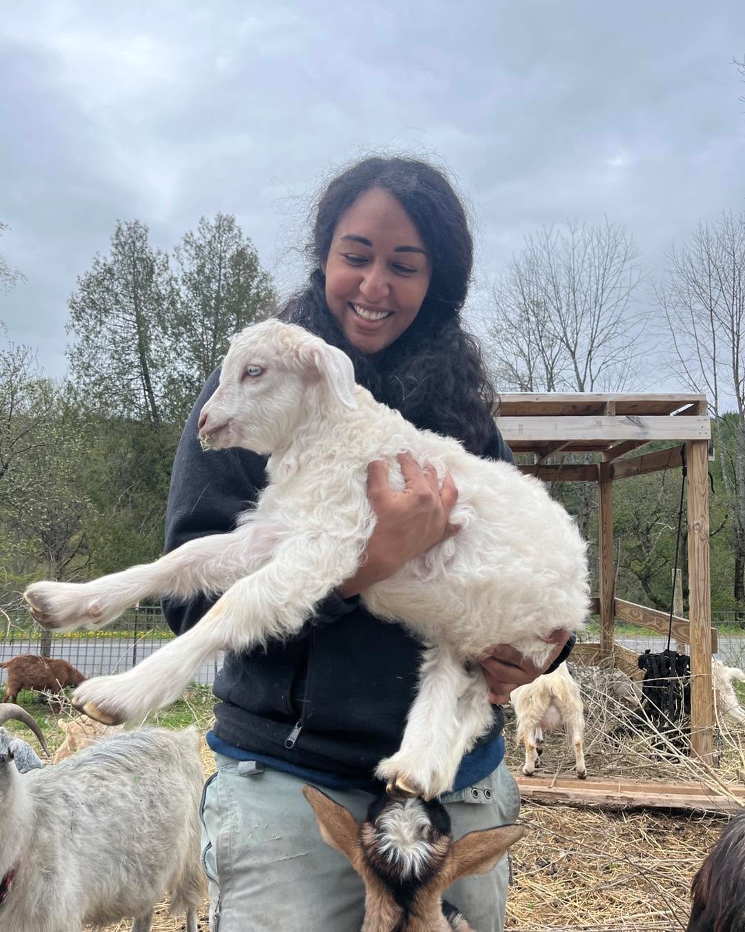 We&rsquo;re wrapping up kidding season and I&rsquo;m starting to evaluate babies. I track metrics around growth, temperament, conformation, and how well the dams are doing as mothers and as producers.  It&rsquo;s still too early to tell which babies 