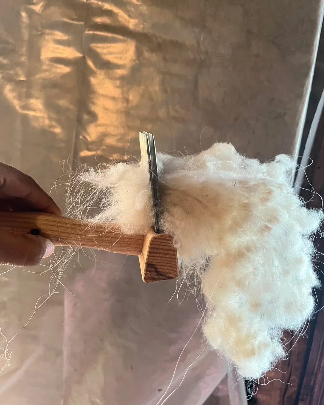 Cashmere Dehairing tip of the day: if you have goats with hair that is much longer than the cashmere, you can use wool combs to secure the cashmere, leaving the guard hairs to stick out. From there you can grab a chunk of hair and pull it at once. Mo