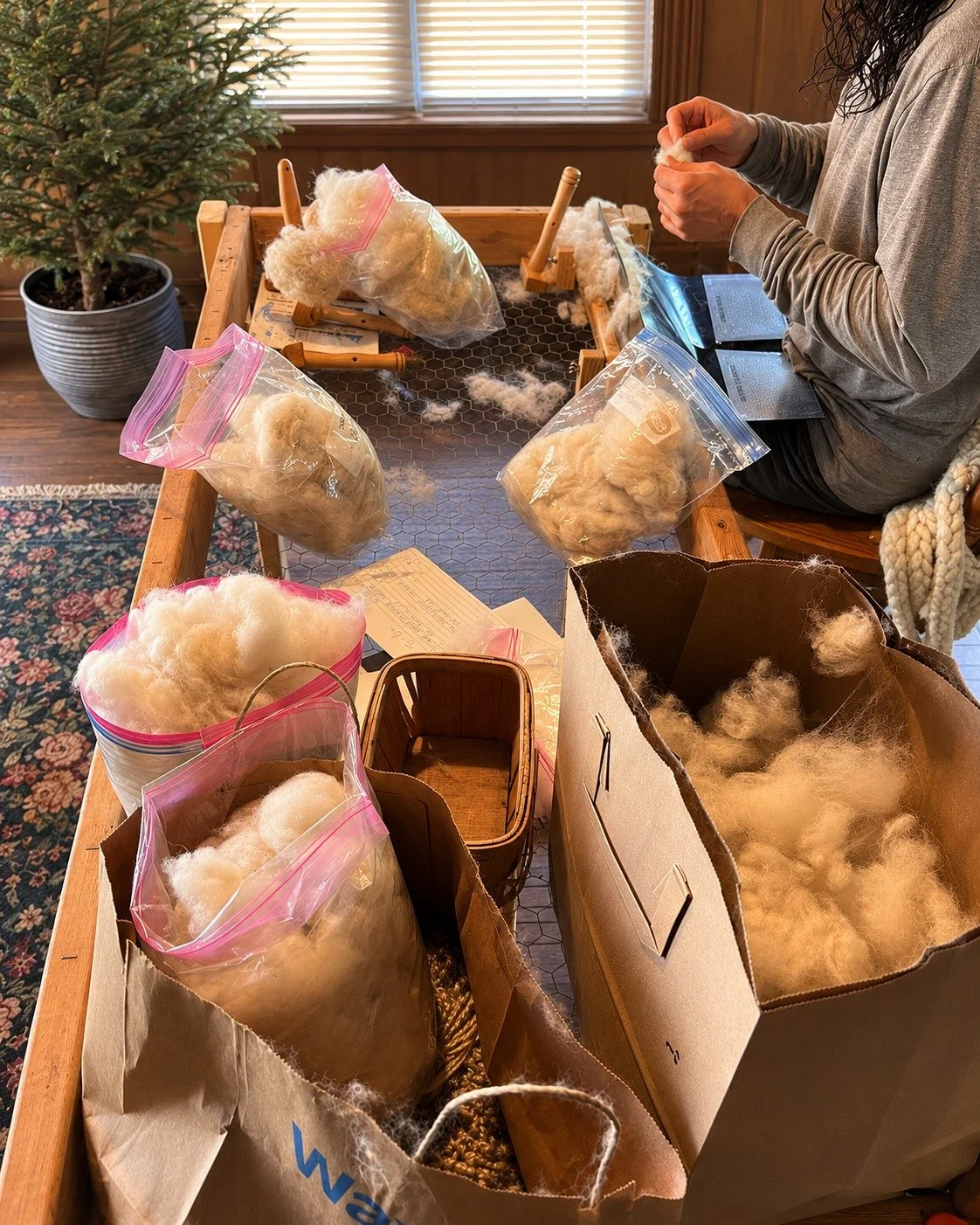 Our hands have been busy touching, feeling, and sorting the cashmere we harvested this Spring from our Cashmere goats. Every portion of every fleece is handled and assessed for quality. When possible, we compare this year's fleeces to last year's and