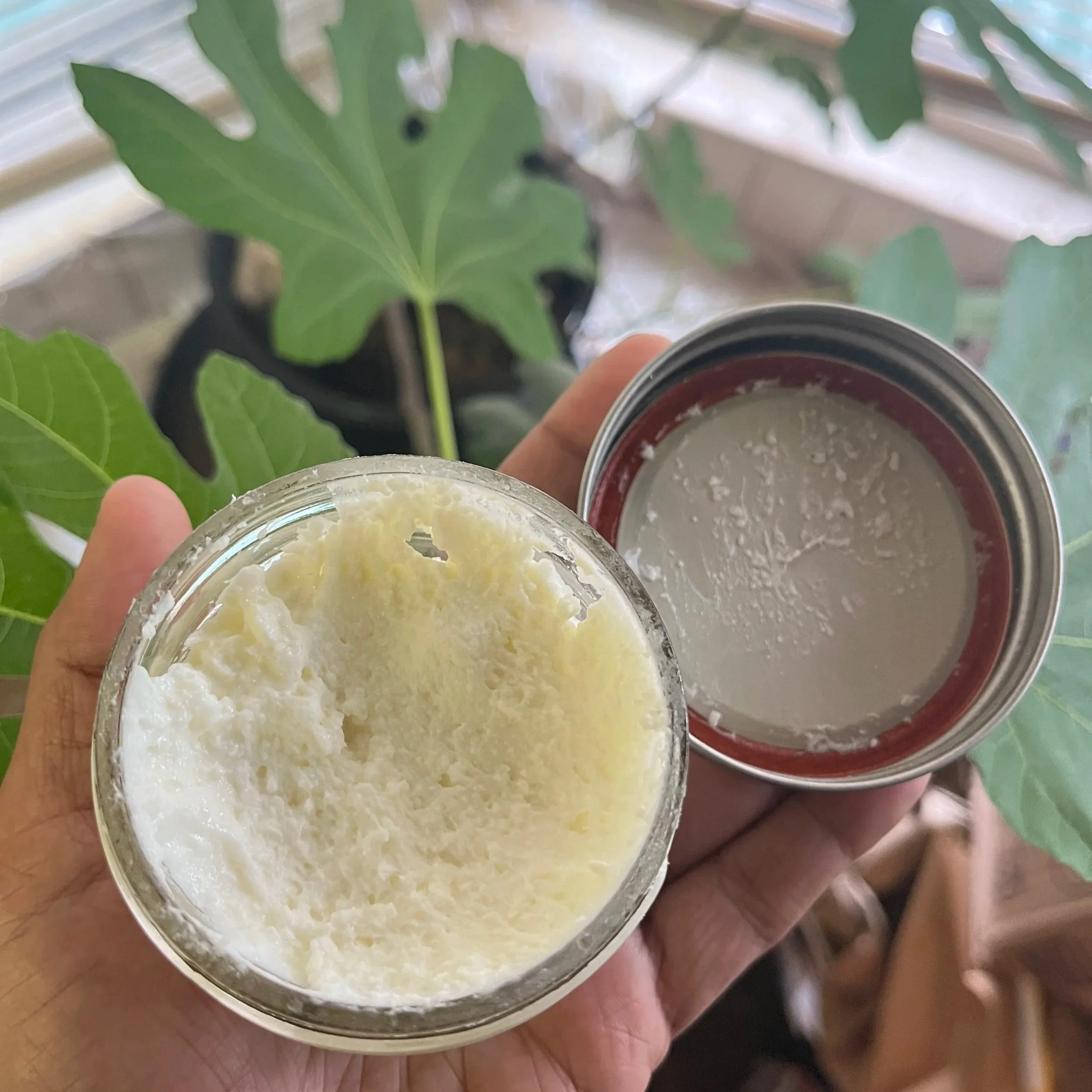 Our First Cashmere Goat Milk Lotion