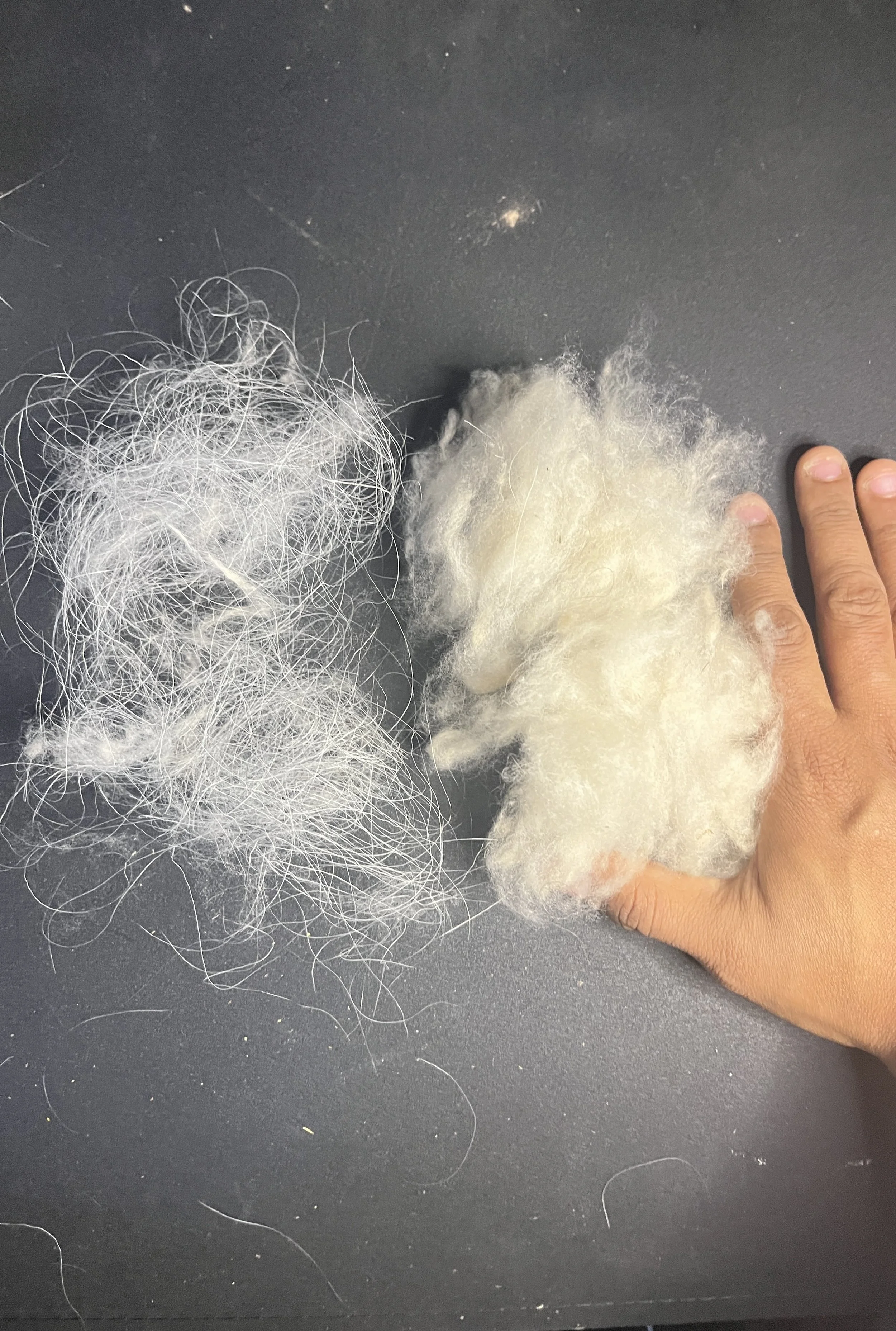 Separate Coarse Hairs from Cashmere by Hand Efficiently