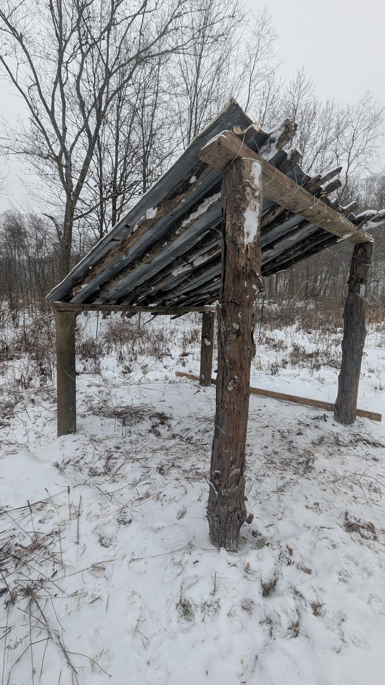goatshelter8.jpeg