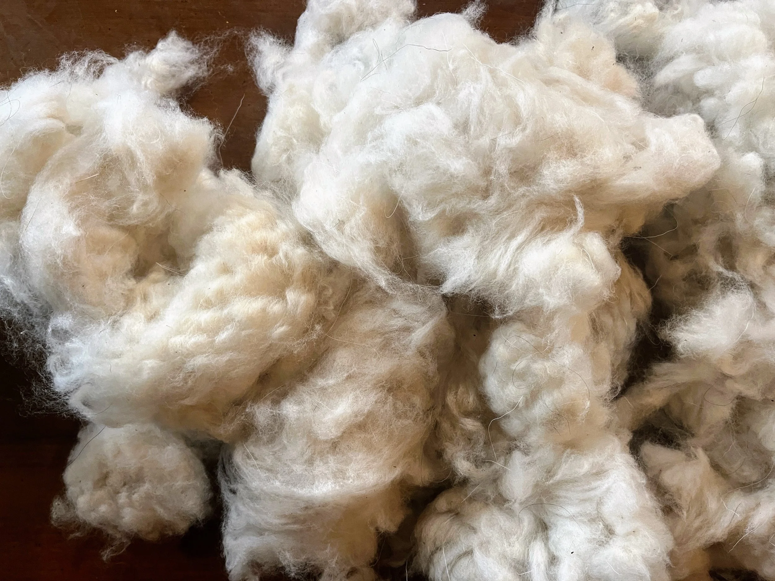 cashmere fiber.JPG