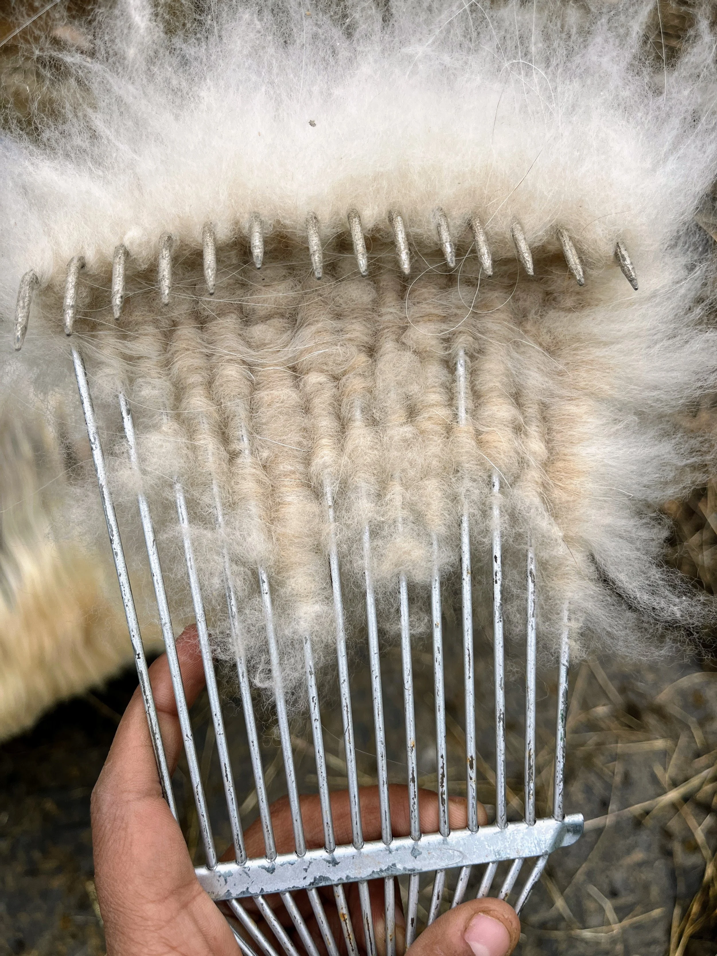 cashmere_comb_withfiber.JPG