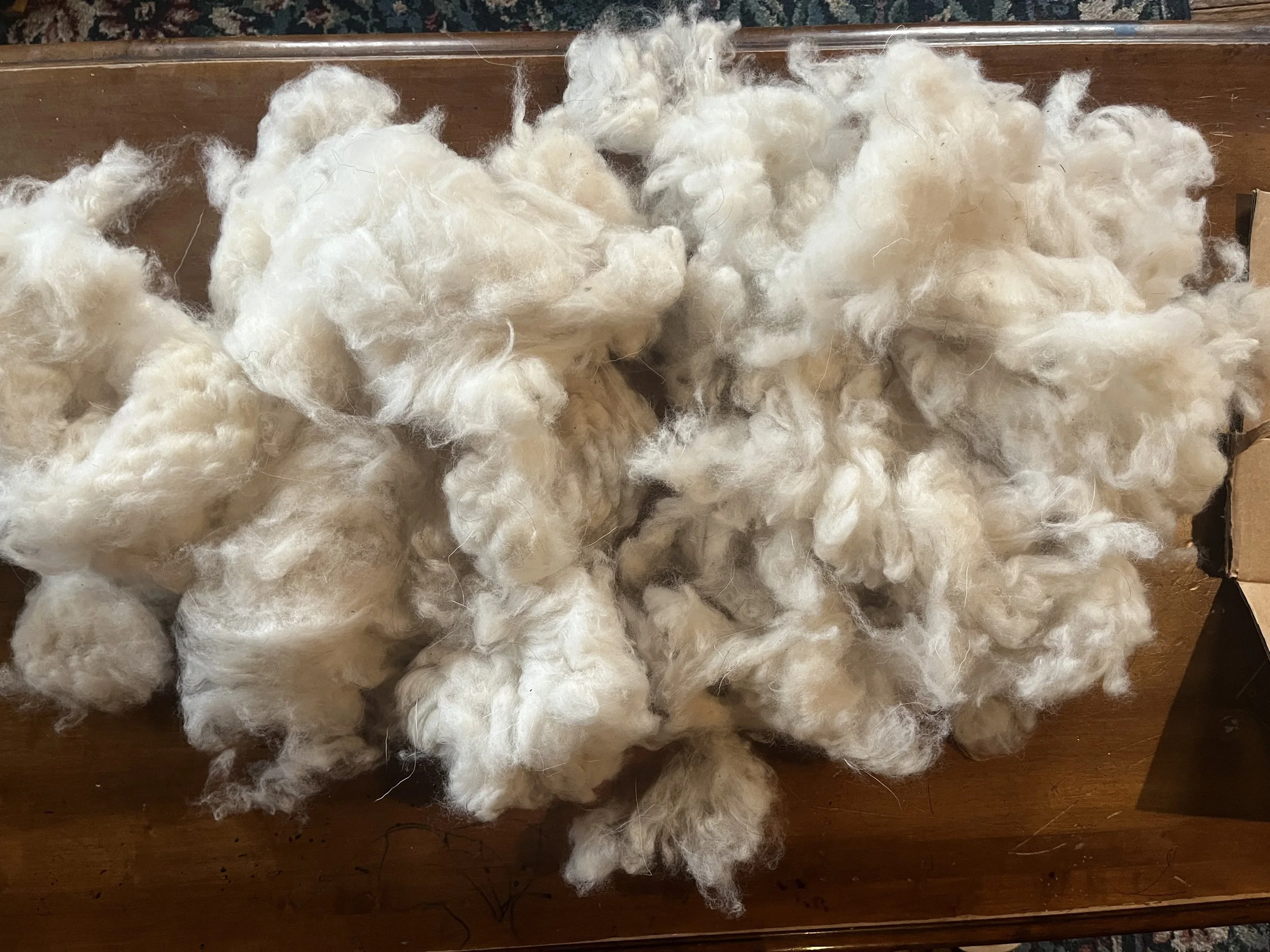 fiber_on_table.jpeg
