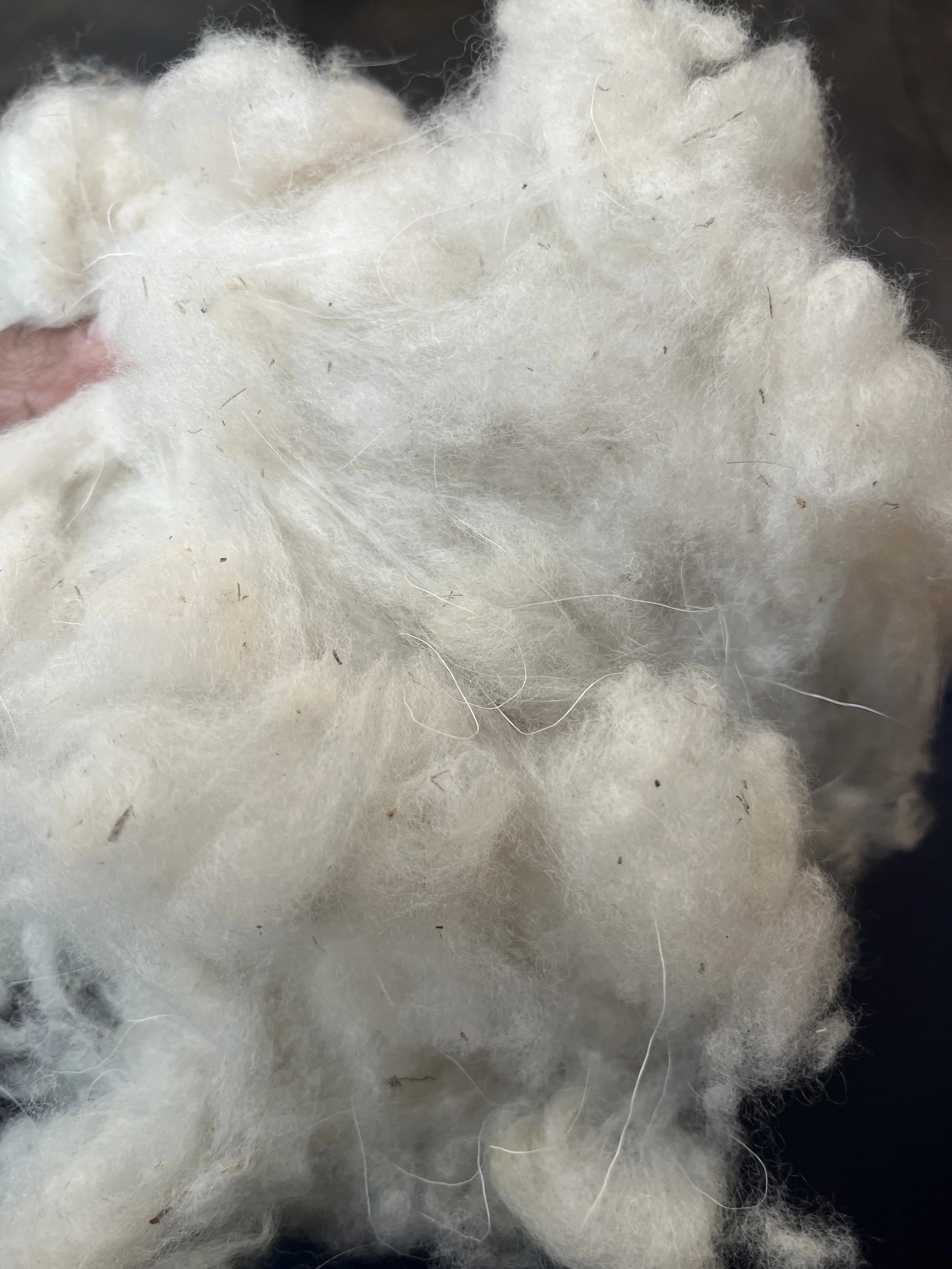 4oz Raw Cashmere (white)