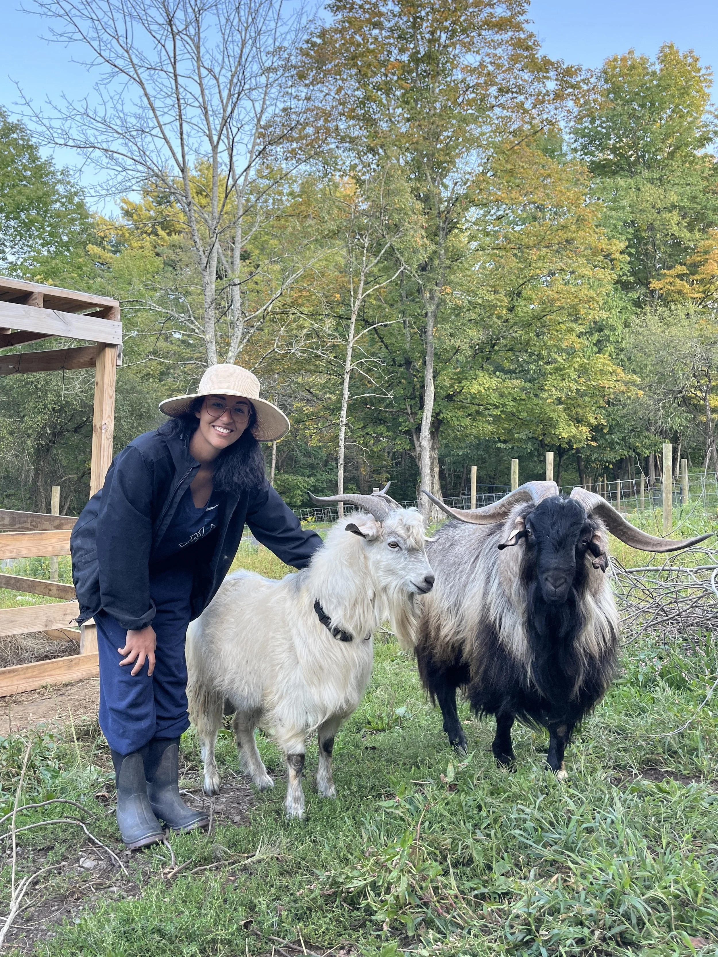A woman wearing a wide-brimmed hat, glasses, a black jacket, and rain boots is smiling and leaning towards two cashmere goats in an outdoor farm setting. The background features trees with changing leaves and a fenced area.