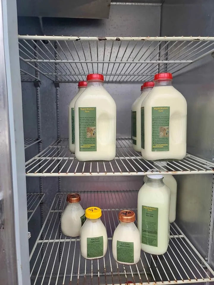 Milk containers on metal fridge shelves at a farm store.
